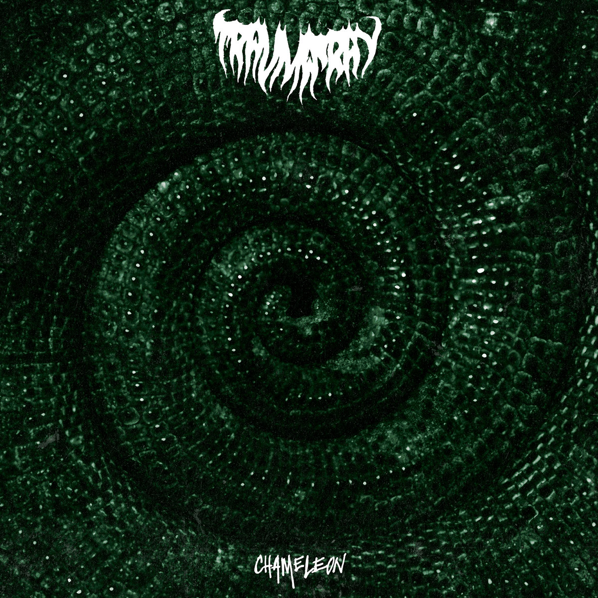 Album cover for Trauma Ray's Chameleon