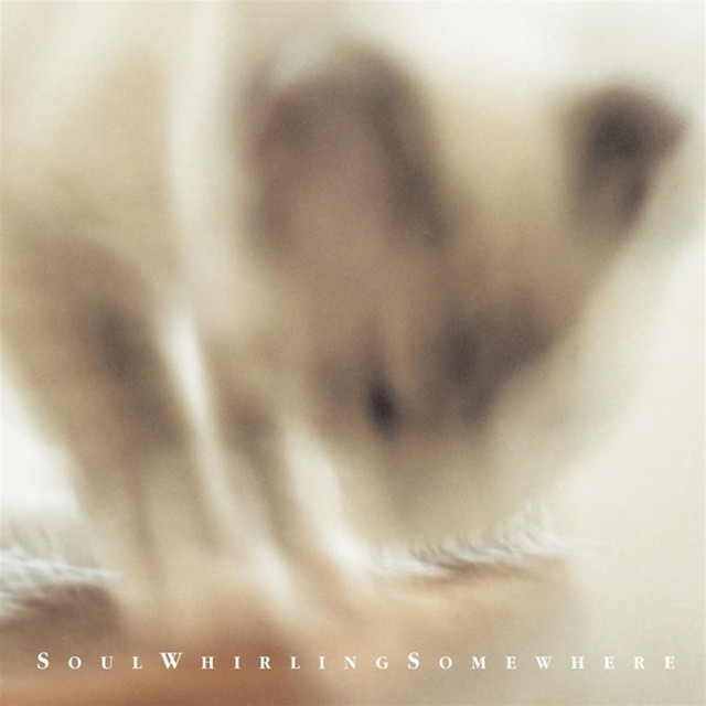 A photo of Michael Plaster of Pyewackit